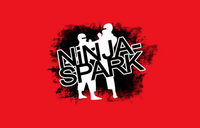 Ninjaspark